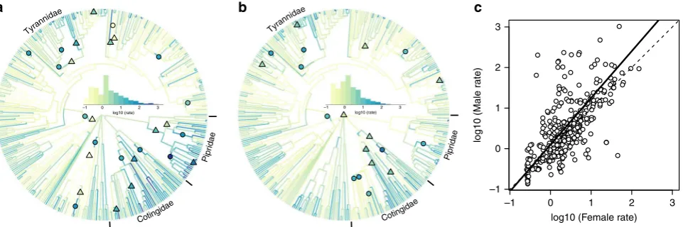 Fig. 1 Sex-specishapes show the location of signito-one (dashed) lines shown. Equation of the regression line:d.f.coloured by estimates of mean relative multivariate rate of plumage colour evolution based on ten body patches for males ((shape colour reﬁc r