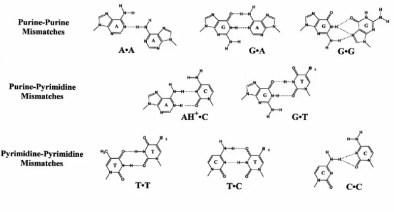 Figure 1.3. Chemical structures of intercalating and inserting ligands.