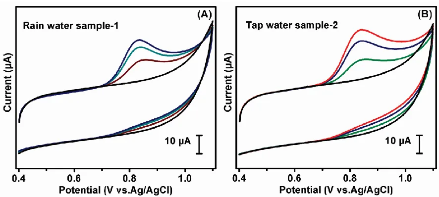 Figure 6. CV profiles of PANI@GO-GCE obtained in the presence of nitrite in real samples for a standard addition method to add at different concentrations in 0.05 M PBS (pH 5) at a scan rate of 50 mV s-1