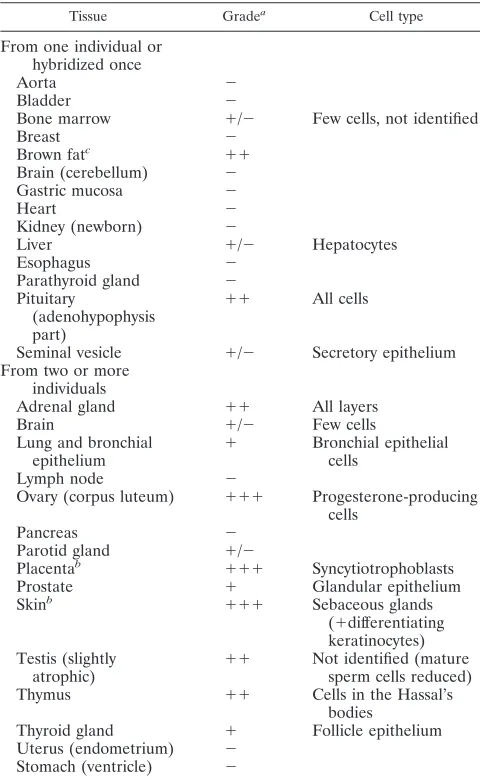 TABLE 3. Tissues used for ISH with ERV3 env probe
