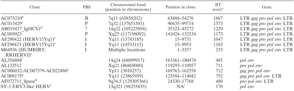 TABLE 1. Selected ERV3 env-like loci from the human genome version hg15