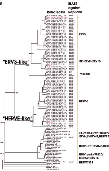 FIG. 2—Continued.