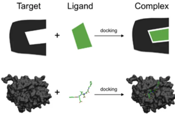 FIG.2: SCHEMATIC ILLUSTRATION OF DOCKING A SMALL MOLECULE LIGAND (GREEN) TO A PROTEIN TARGET (BLACK) PRODUCING A STABLE COMPLEX