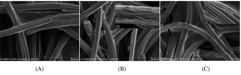 Figure 4.  SEM images of CC (a), ERGNO/CC (b), and PDC-ERGNO/CC (c)  