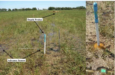 Figure 1: Depth probe and advance sensor at site S11 