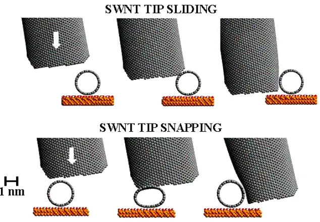 Figure 1.  40,40 SWNT tip imaging a sample 16,16 SWNT in smooth gliding mode (top) 