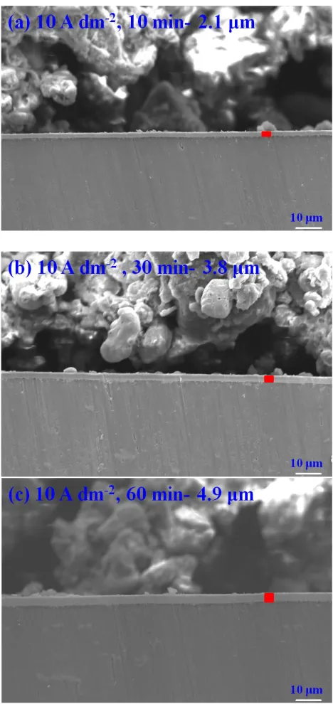Figure 2.  The cross-sectional SEM images of the Cr-C coated AA5052 from electroplating for different times: (a) 10 A dm-2, 10 min; (b) 10 A dm-2, 30 min; and (c) 10 A dm-2, 60 min