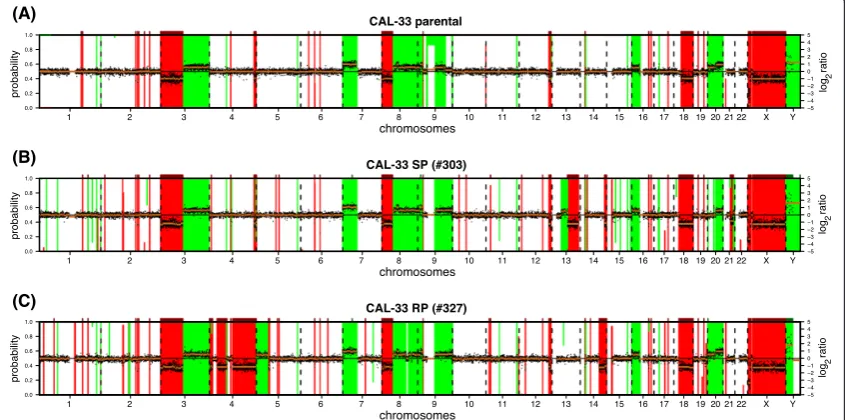 Table 1 Significantly enriched pathways of genes differentially expressed in subclones SP and RP compared to the parental CAL-33cells