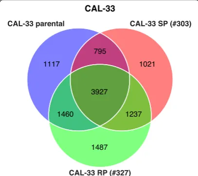 Table 4 Significantly enriched pathways of early and lateresponding genes after ionizing radiation