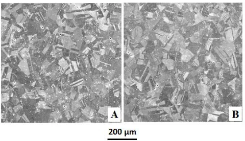 Figure 1. Optical micrographs of the chemically etched (A) FeCrNi and (B) FeCrNiMo austenitic stainless steels showing the grain microstructure of the alloys