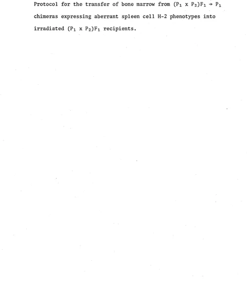 Figure 3.1Protocol for the transfer of bone marrow from (Pi x P2)Fi -* 