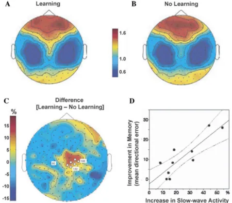 Figure 7. Slow-wave activity and motor-skill memory. Topographical high-density EEG maps of slow-wave activity (SWA) during NREM sleep following either (A) motor-skill learning or (B) a nonlearning control condition, and (C) the subtracted difference betwe