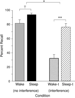 Figure 4. Impact of sleep on the consolidation and stabilization of declarative memory