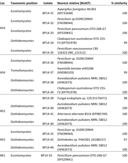 Table 17 Isolated fungi from birch pollen (Betula pendula) sampled in 2014 sampled in the surrounding area of Munich