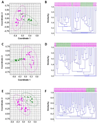 Figure 4 A, B)Comparison of fungal pattern on pollen from birch and timothy grass.                                  Pollen collected in 2013: PCoA (Bray-Curtis) performed to compare fungal pattern on birch- (Betula pendula; n = 27; magenta) and timothy gra