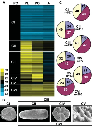 Figure 2Summary of microarray resultsulation and blue to downregulation. Each row corresponds to an EST and each column to a developmental stage as labelled in settlement, post-settlement, adult, and post-gastrulation stages, as diagrammed in (B)