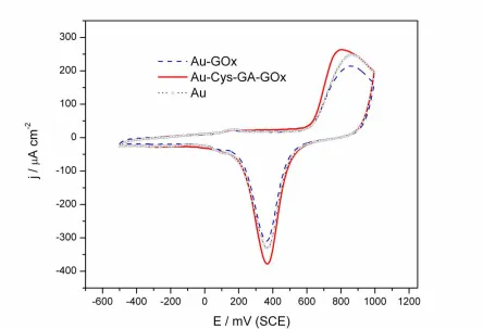 Figure 1.  CVs obtained on gold electrode using phosphate buffer (0.1 M, pH 7.0) (dotted line), Au-GOx (dashed line) and Au-Cys-GA-GOx (full line) at scan rate 50 mVs-1