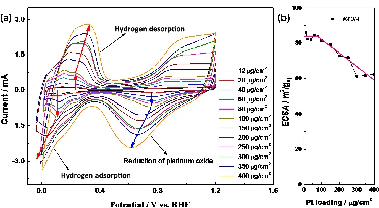 Figure 1.  (a) The CV curves of a series of Pt/C catalyst electrodes with the same I/C ratio and different Pt loading; (b) Relationship between ECSA and Pt loading of Pt/C catalyst electrodes with the same I/C ratio and different Pt loadings
