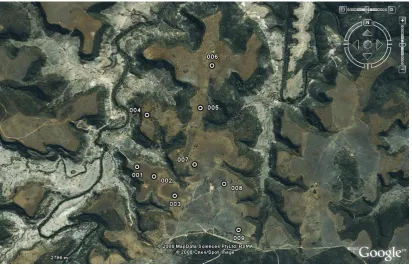 Figure 5 Topographic representation of soil locations (Google Earth 2007) 