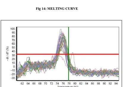 Fig 13: AMPLIFICATION PLOT 