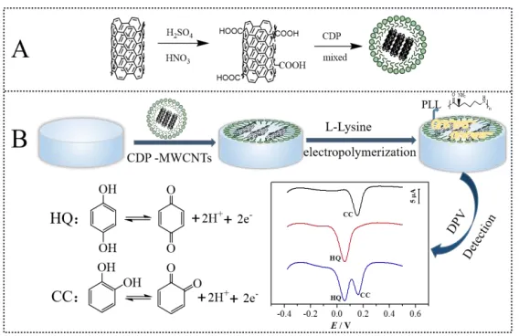 Figure 1. SEM micrographs of (A) MWCNTs, (B) CDP-MWCNTs composite, (C) PLL/CDP-MWCNTs film