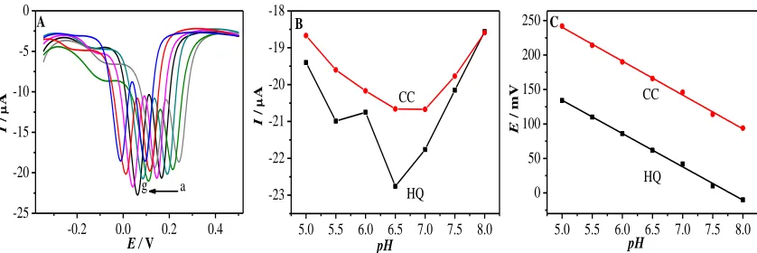 Figure 3.  (A) DPVs of 10×10-5 M HQ and CC in different pH values at PLL/CDP-MWCNTs/GCE