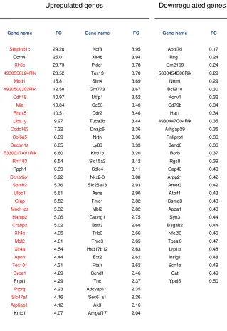 Table 1 – E16 cortex germinal zones RNAseq