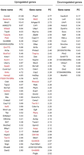 Table 2. Table of upregulated and down regulated genes in E16 full cortex 
