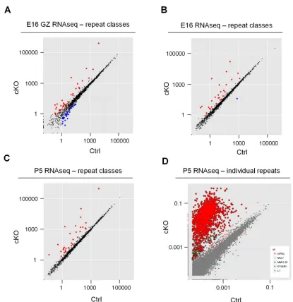 Fig. 4-11 IAP activation in Uhrf1 cKO in embryonic and postnatal stages 