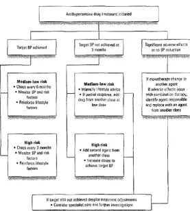 Figure 4: NHF recommendations for stabilisation, maintenance and follow-up after initiation of antihypertensive therapy3 