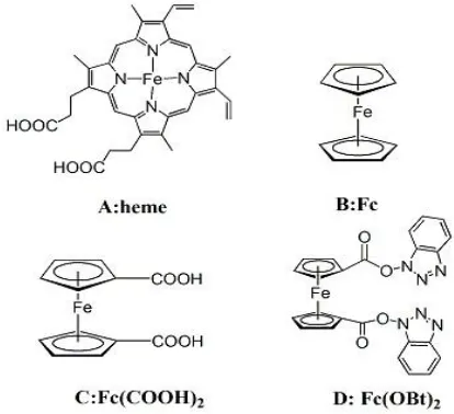 Figure 1.  Structure diagram of heme, ferrocene and its derivatives 