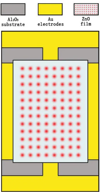 Figure 1. The schematic picture of the sensor. 