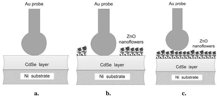 Figure 1.  The various structures that were electrically tested incorporated Ni substrate and Au-probe electrodes, containing between them: (a) 1 μm thick single-crystal CdSe layer, (b) 1 μm thick single-crystal CdSe layer partially covered by ZnO nano-flowers, and (c) 1 μm thick single-crystal CdSe layer totally covered by ZnO nano-flowers  