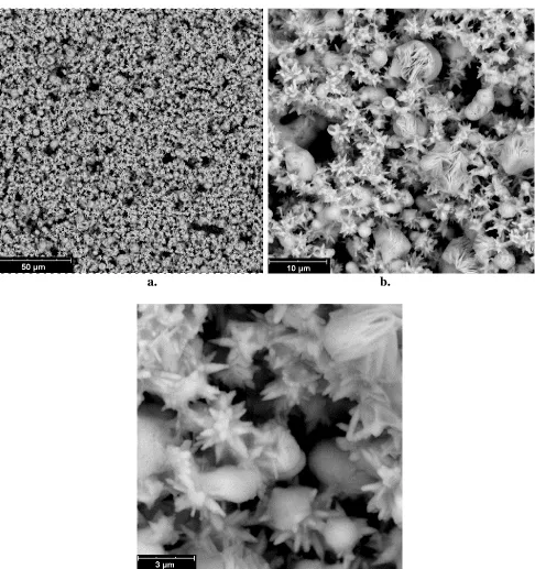 Figure 3. Representative SEM micrographs under different magnifications for the Ni/CdSe/ZnO nano-flower specimens