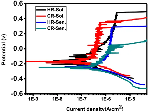 Figure 3.  The comparison of potentiodynamic polarization curves between cold-rolled and hot-rolled 2101 duplex stainless steel after solid-solution and sensitization treatment in 3.5 % NaCl solution 