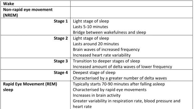 Figure 2.2. Stages of sleep, adapted from (Clark &amp; Stansfeld, 2011).  
