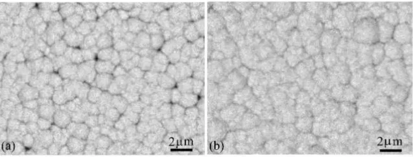 Figure 3.  SEM images of the Cu-Mo-Al films electrodeposited (a) at a frequency of 0.4 MHz and (b) at a frequency of 1.26 MHz