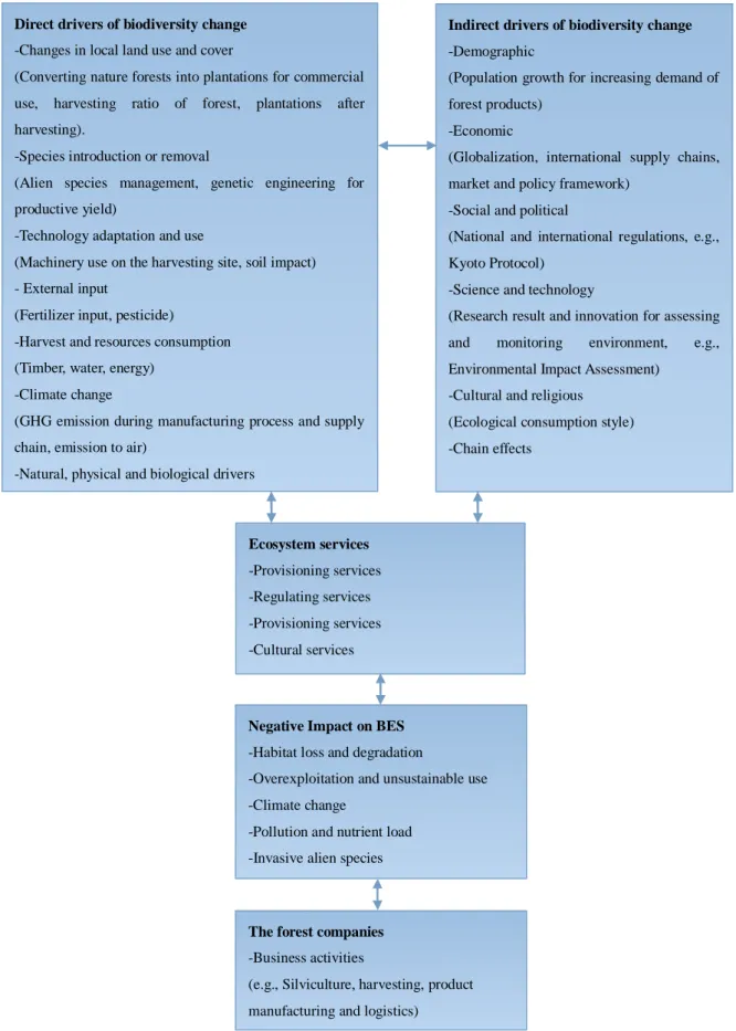Figure 5. Interactions among biodiversity, ecosystem services and the forest companies.