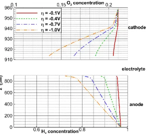 Figure 7.  Simulated concentration profiles of hydrogen and oxygen within the electrodes for different total overpotentials for low air supply case