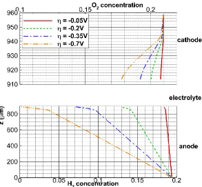 Figure 9.  Simulated current distribution (a) and concentration contours of hydrogen (red) and oxygen (blue) (b) for low utilization case with 1.0Vtotalwhich corresponds to the limiting current