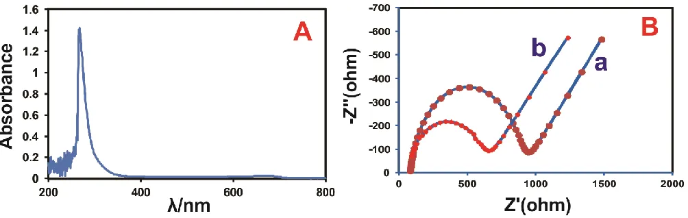 Figure 2. (A)  UV-Visible spectra of [Co(en)3]2+  (B) Electrochemical impedance spectrum of  (a) bare GCE, (b) GCE/[Co(en)3]2+ modified electrode in 0.1 M KCl containing  5 mM [Fe(CN) 6]3-/4-     