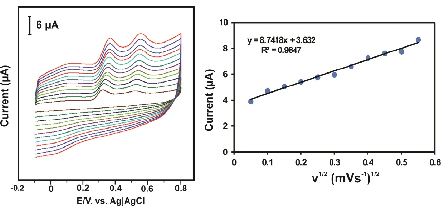 Figure 4. (A)  Cyclic voltammetry response for the different concentration of  EA from 100 µM to 700 µM, (B) Calibration plot for the different concentration EA vs oxidation peak current (Ipa)