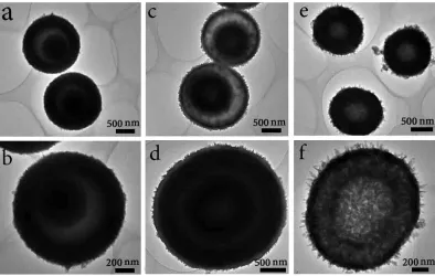 Figure 3. TEM images of the VO2 microspheres obtained at different times of the second step solvothermal process: (a, b) 12 h, (c, d) 24 h, and (e, f) 36 h