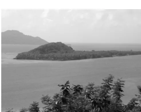 Figure 2: ‘Etten from old road’: The island of Etten in 2001, the airsrtipwas used post-war to grow coconuts