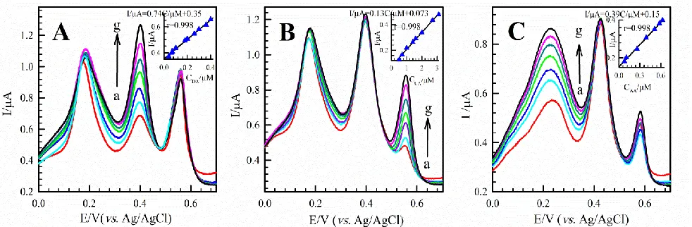 Figure 8. DPV profiles at poly-DY/GCE in 0.1 M PBS (pH 3.0), (A) containing different concentrations of DA: (a) 0.040, (b) 0.065, (c) 0.070, (d) 0.100, (e) 0.200, (f) 0.360 and (g) 0.400 (μM) in the presence of 30 µM UA and 180 µM AA