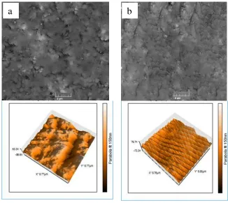 Figure 1.  SEM (top) and AFM (down) images of (a) bare GC and (b) poly-DY/GC electrode surface