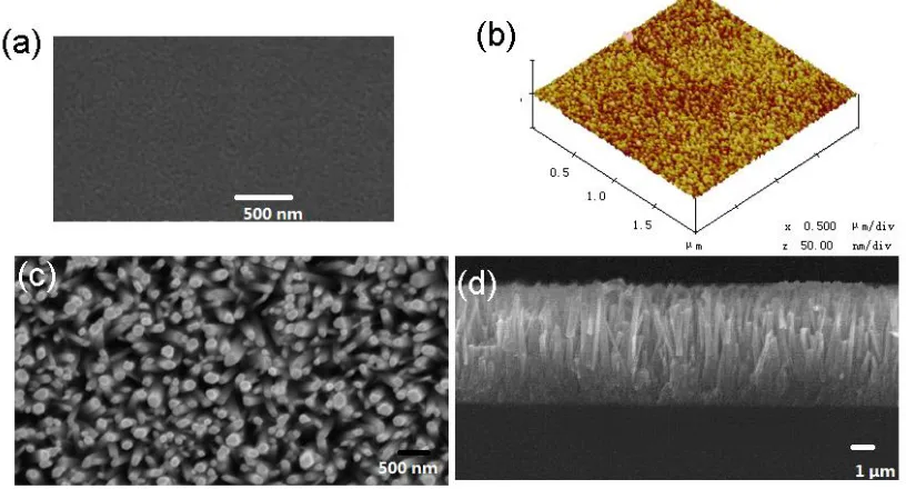 Figure 2.  (a): Top-view SEM image of the ZnO seed layers; (b): AFM micrographs of the ZnO seed layers, (c) Top-view SEM image of the ZnO nanowires, and (d) Cross-sectional SEM image of the ZnO nanowires