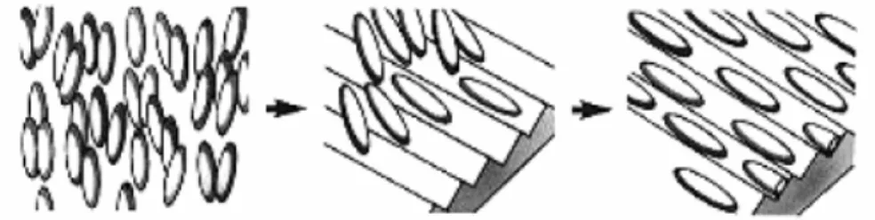 Figure 5: Liquid crystal molecules lining up parallel to the alignment layer. Image  courtesy of Emerging Display Technologies