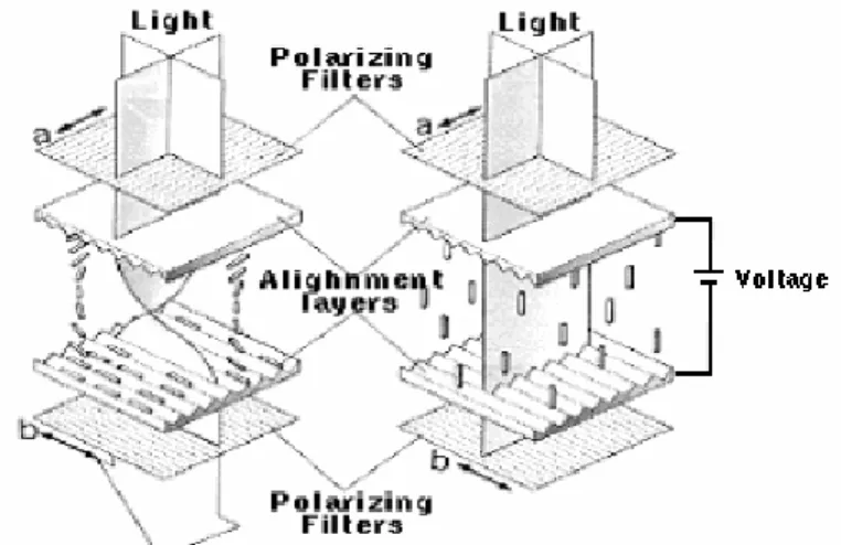 Figure 10: Example of a twisted nematic LCD.  Image courtesy of Emerging Display  Technologies