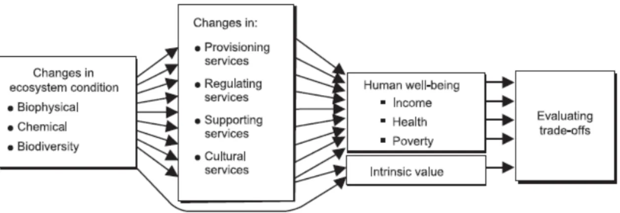 Figure 1: The millennium ecosystem assessment approach 